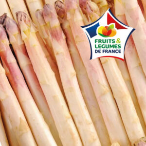 ASPERGE BLANCHE FRANCE